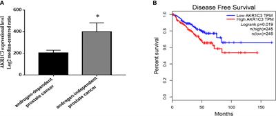 siAKR1C3@PPA complex nucleic acid nanoparticles inhibit castration-resistant prostate cancer in vitro